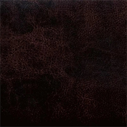 Furniture of America Goodwater Faux Leather Full Foundation Bed - Brown